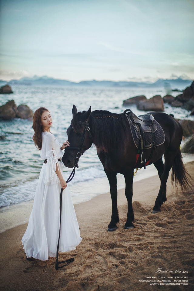 海边马背上的白裙美女