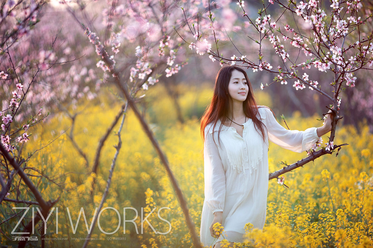 花圃中的白裙女子唯美图